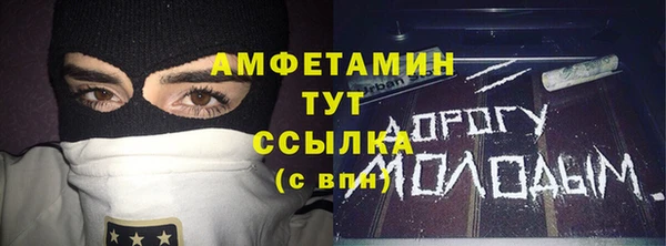 хмурый Абаза