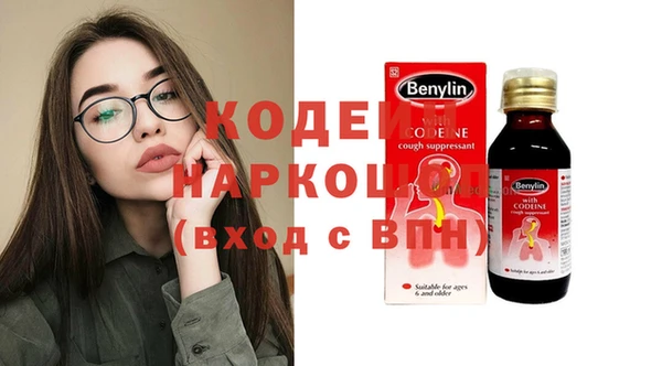 хмурый Абаза