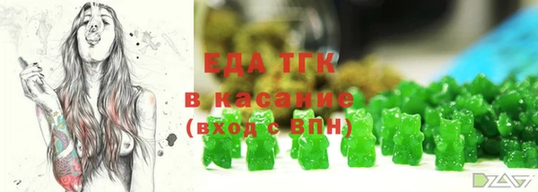 хмурый Абаза