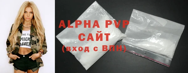 хмурый Абаза