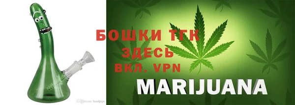 хмурый Абаза