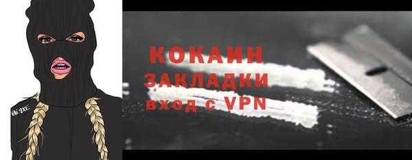 хмурый Абаза