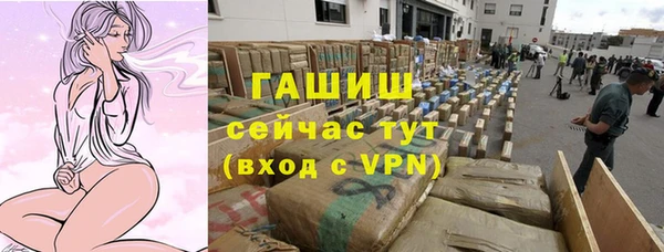 хмурый Абаза