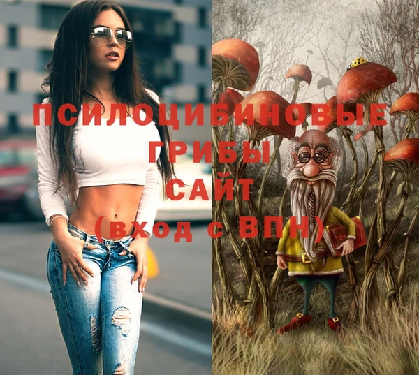 хмурый Абаза