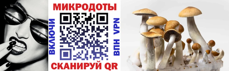 Псилоцибиновые грибы мицелий  Чекалин 